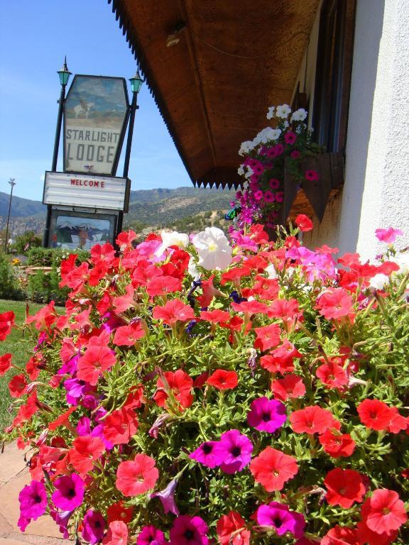 Starlight Lodge Glenwood Springs Εξωτερικό φωτογραφία